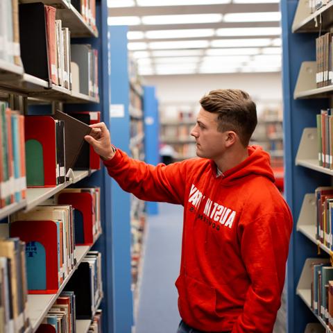 Students in the library