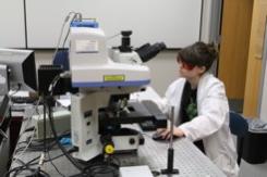 raman microscope